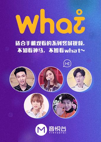 what(全集)