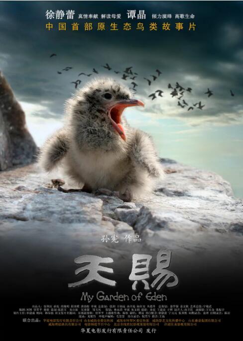 天赐(全集)