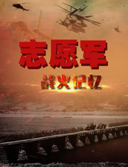 志愿军战火记忆(全集)