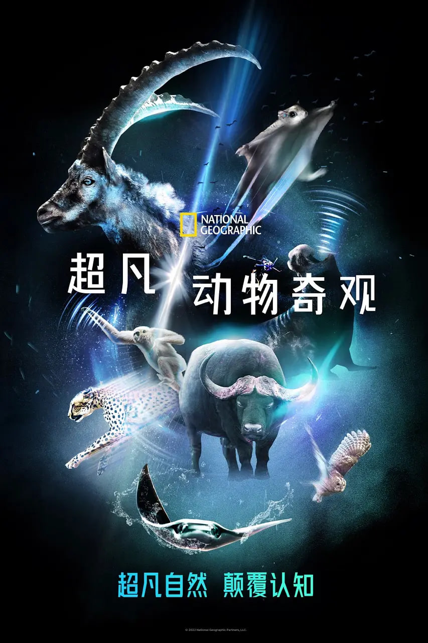 超凡动物奇观(全集)