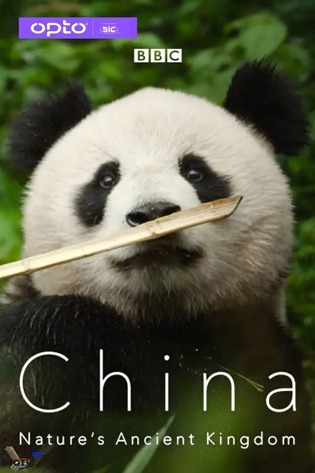 中国：大自然的古老王国 第一季(全集)