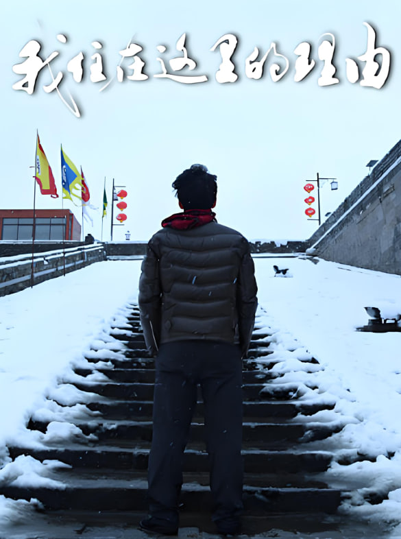 我住在这里的理由 第三季(全集)