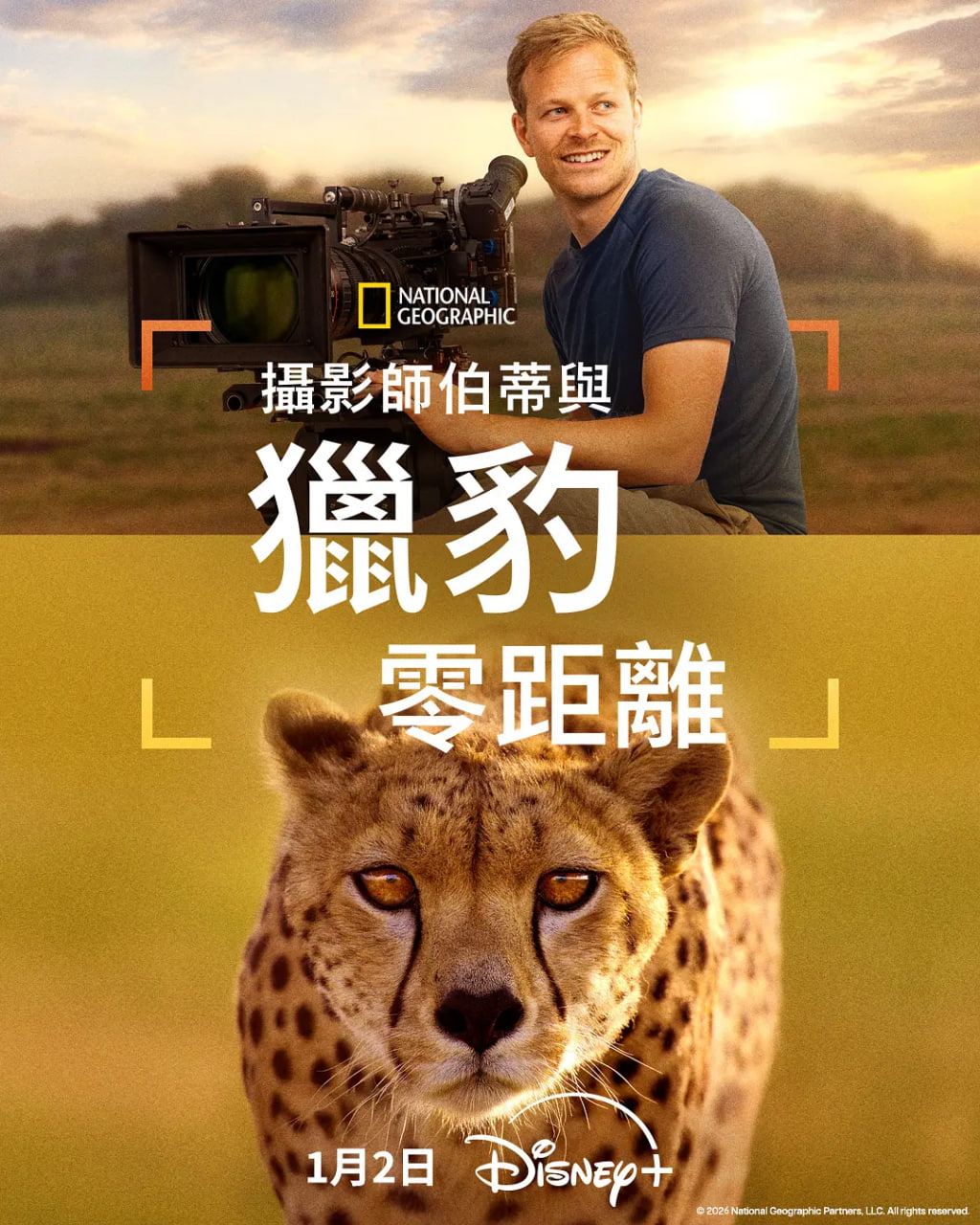 摄影师贝尔蒂与猎豹零距离(全集)