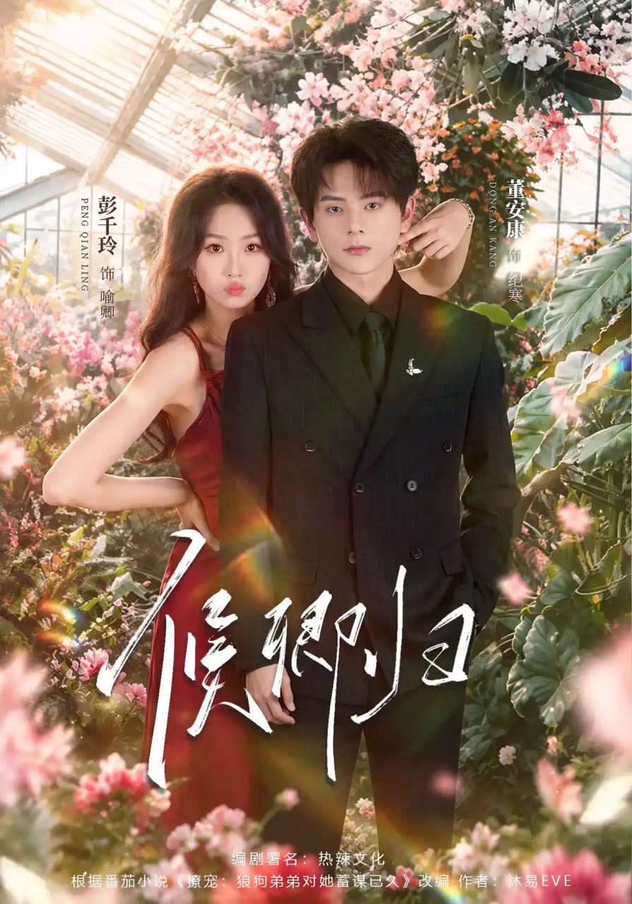 候卿归(全集)