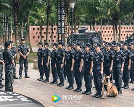 女特警(全集)